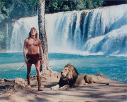 Tarzan with lion in front of watefall