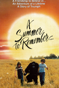 A Summer to Remember